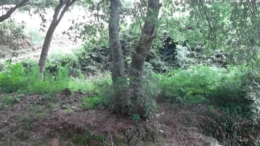 Terreno para Venda em Vila de Cucujães