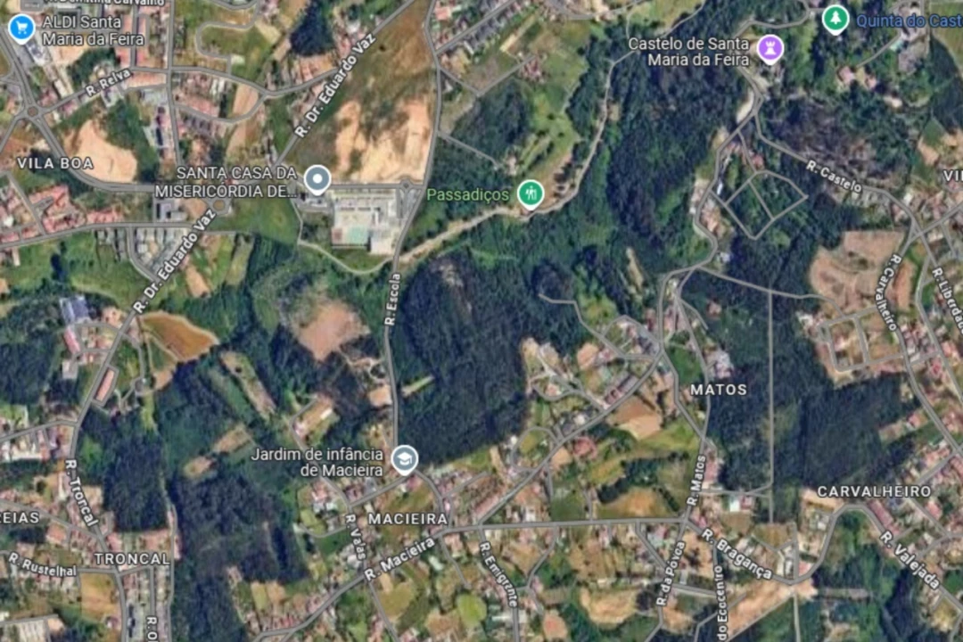 Terreno para Venda em São Miguel do Souto e Mosteirô Foto 1