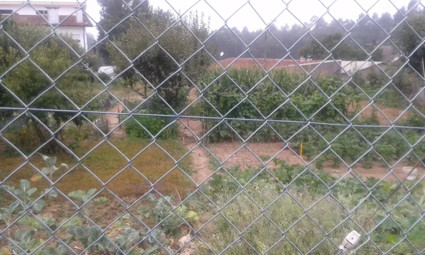 Terreno para Venda em Arrifana Foto 3
