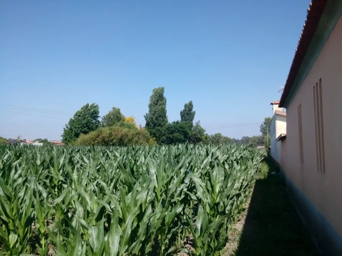 Terreno para Venda em Pardilho Foto 5