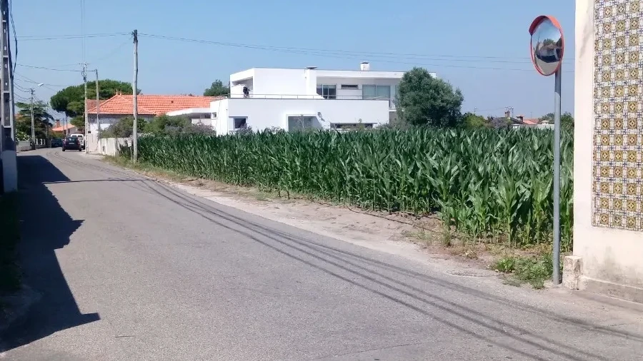 Terreno para Venda em Pardilho