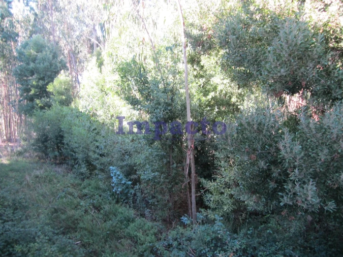 Armazém para Venda em Nogueira do Cravo e Pindelo Foto 8