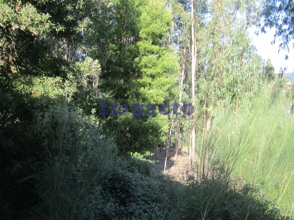 Armazém para Venda em Nogueira do Cravo e Pindelo Foto 9