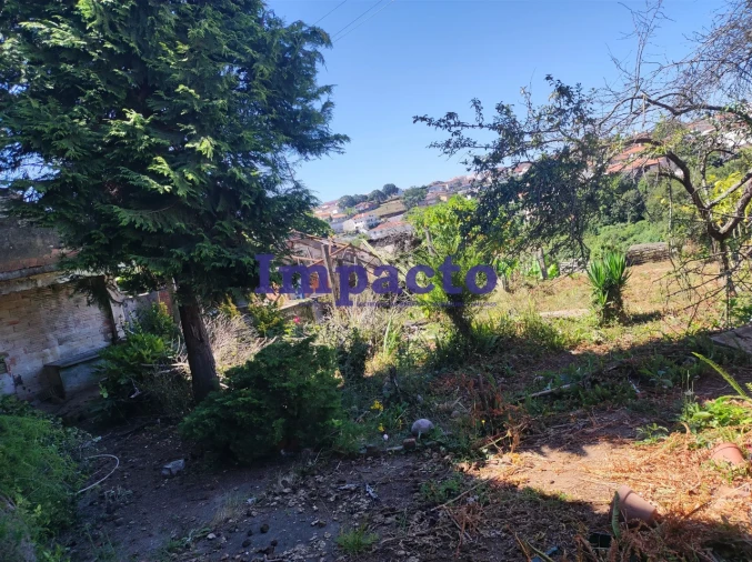 Terreno para Venda em São João da Madeira Foto 3