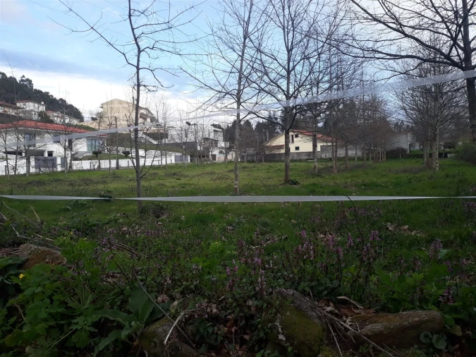 Terreno para Venda em Cesar Foto 3