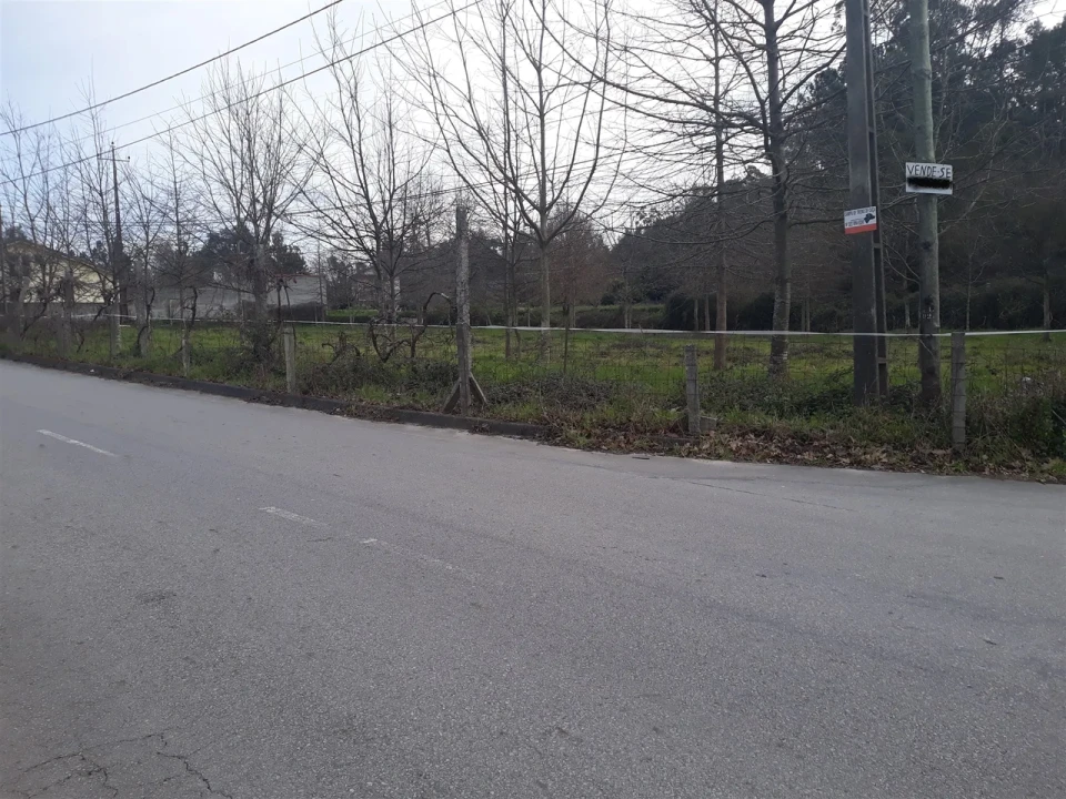 Terreno para Venda em Cesar Foto 6