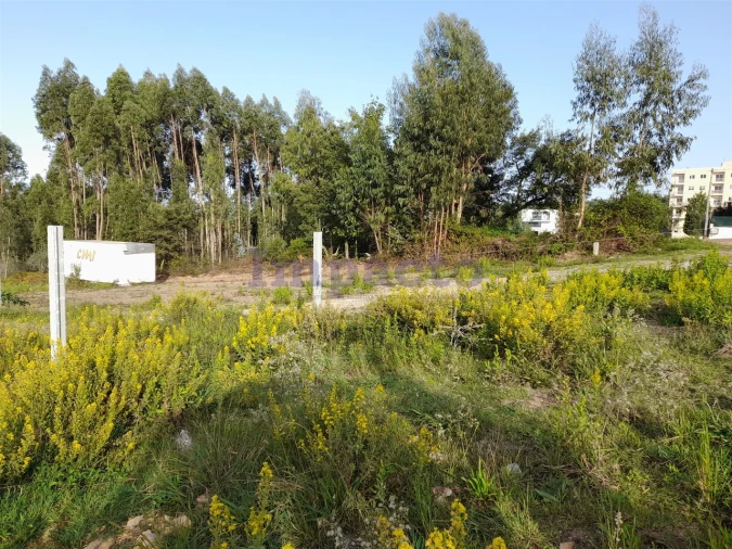 Terreno para Venda em Santa Maria da Feira, Travanca, Sanfins e Espargo Foto 4