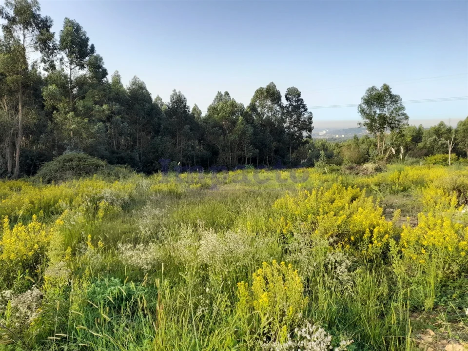 Terreno para Venda em Santa Maria da Feira, Travanca, Sanfins e Espargo Foto 3