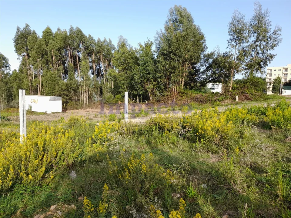 Terreno para Venda em Santa Maria da Feira, Travanca, Sanfins e Espargo Foto 4