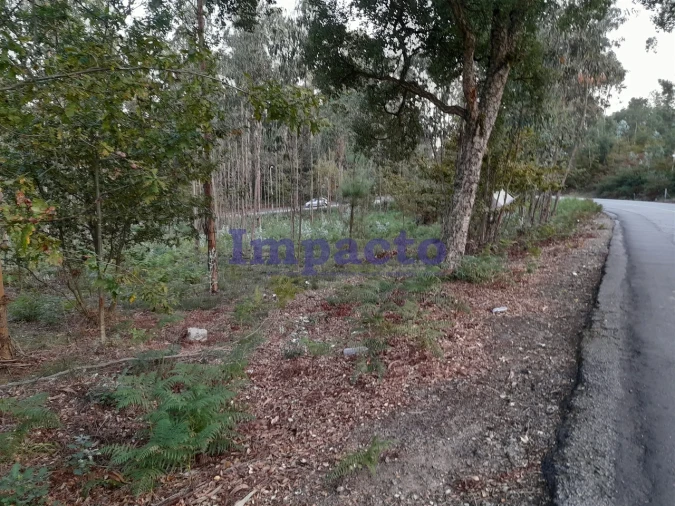 Terreno para Venda em O. Azeméis, Riba-Ul, Ul, Macinhata Seixa, Madail Foto 6