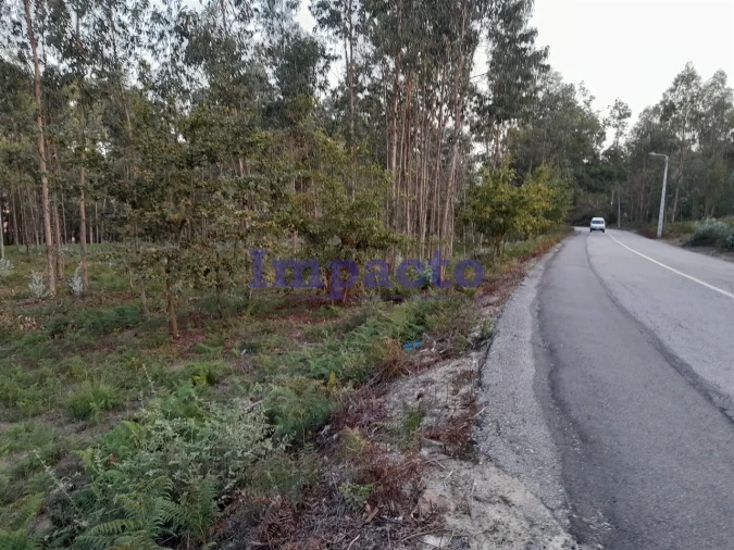 Terreno para Venda em O. Azeméis, Riba-Ul, Ul, Macinhata Seixa, Madail Foto 5