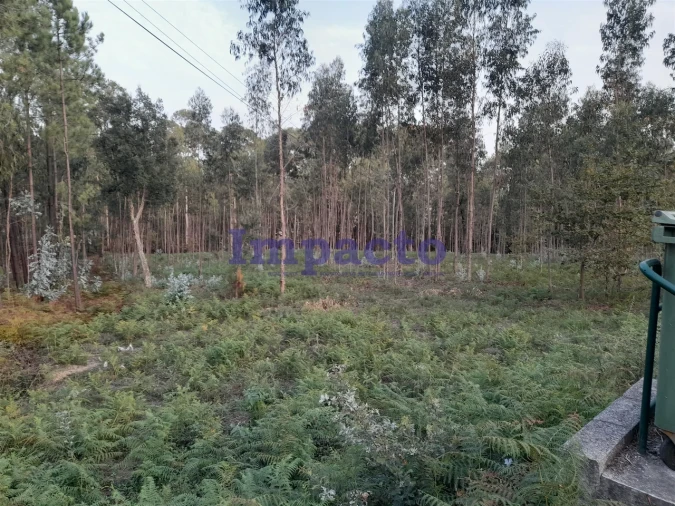 Terreno para Venda em O. Azeméis, Riba-Ul, Ul, Macinhata Seixa, Madail Foto 4