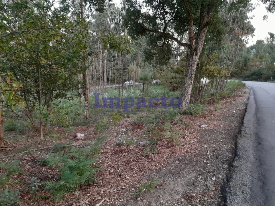 Terreno para Venda em O. Azeméis, Riba-Ul, Ul, Macinhata Seixa, Madail Foto 6