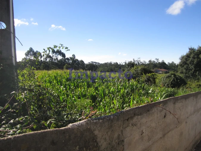 Terreno para Venda em Vila de Cucujães Foto 11