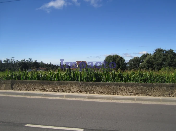 Terreno para Venda em Vila de Cucujães Foto 18