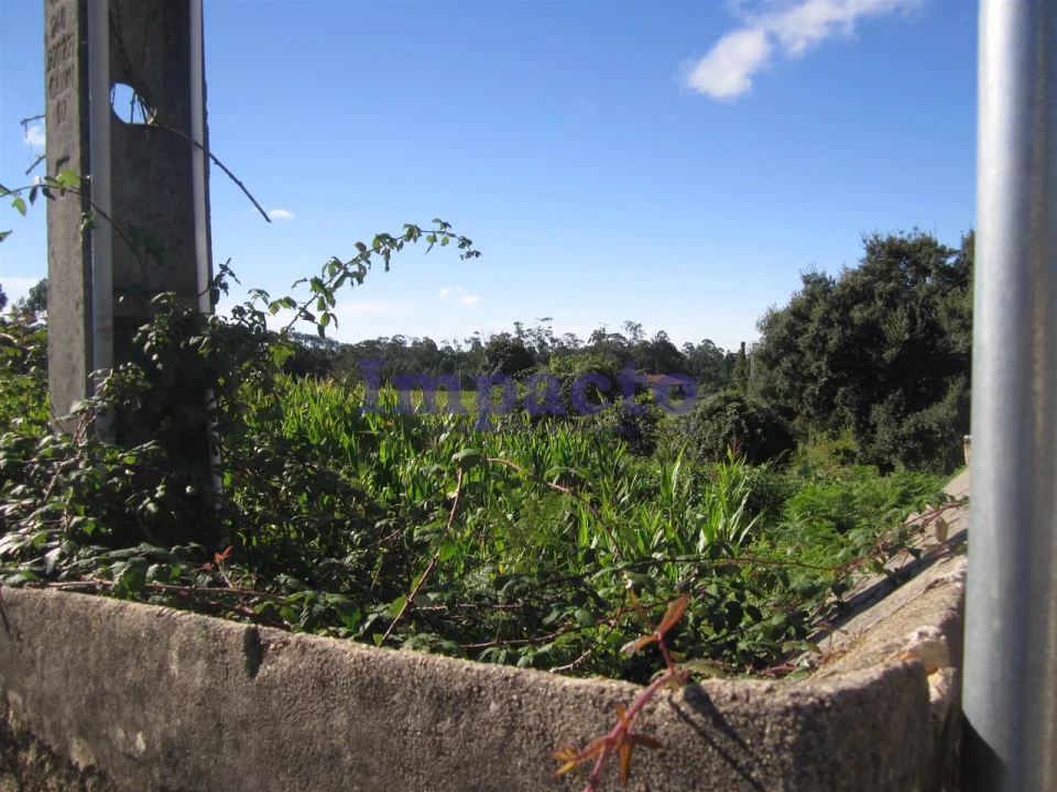 Terreno para Venda em Vila de Cucujães Foto 9