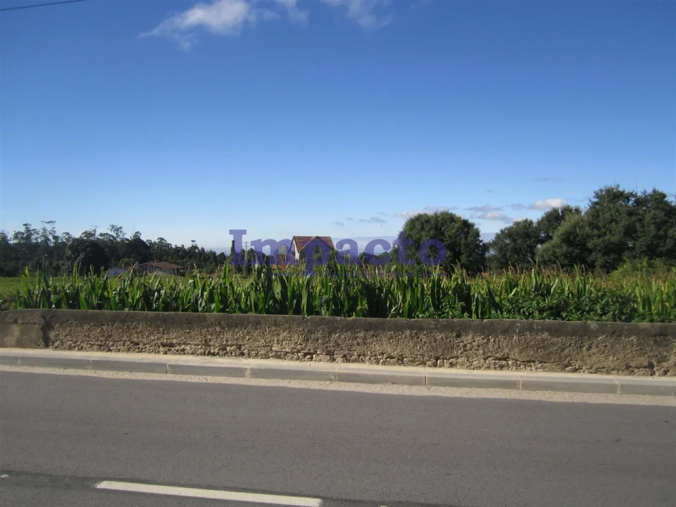 Terreno para Venda em Vila de Cucujães Foto 18