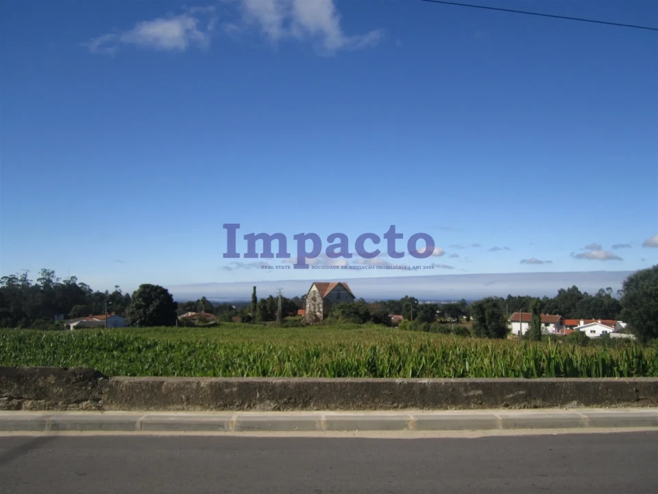 Terreno para Venda em Vila de Cucujães Foto 6
