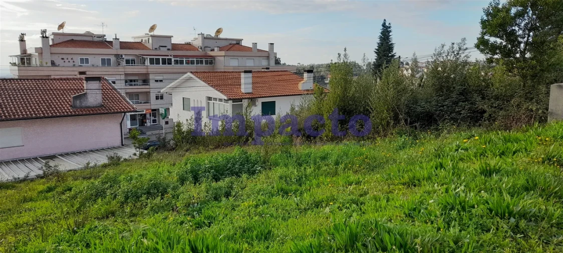 Terreno para Venda em Vila de Cucujães Foto 1