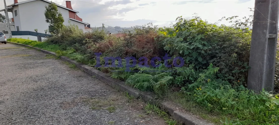 Terreno para Venda em Vila de Cucujães Foto 6