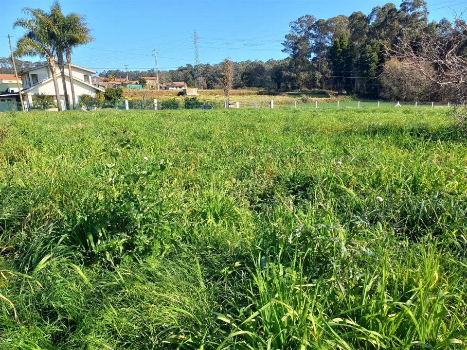 Terreno para Venda em São Martinho da Gandara Foto 5