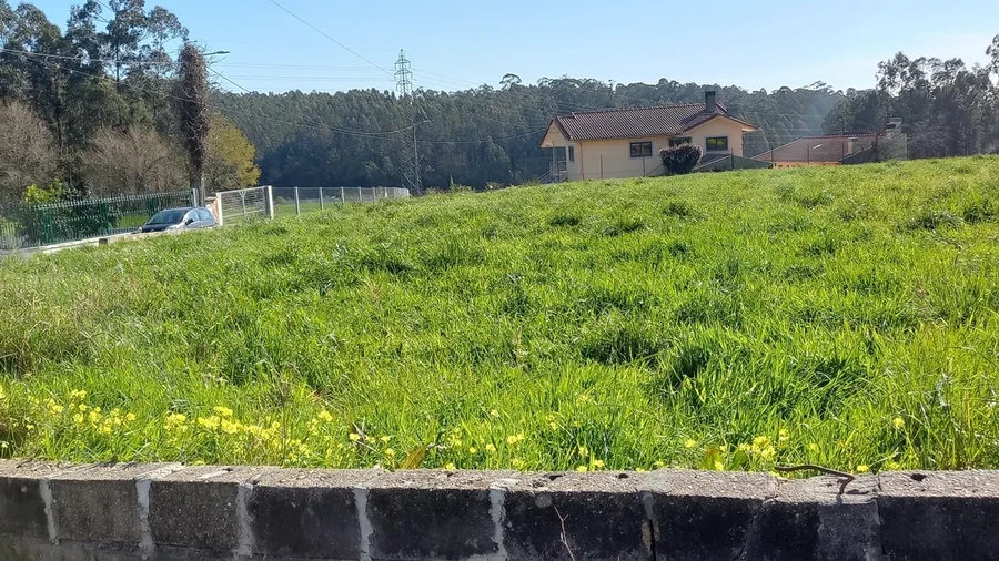 Terreno para Venda em São Martinho da Gandara