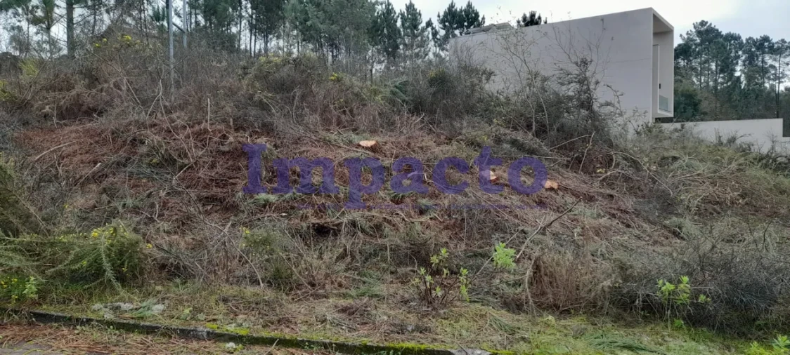 Terreno para Venda em O. Azeméis, Riba-Ul, Ul, Macinhata Seixa, Madail Foto 3