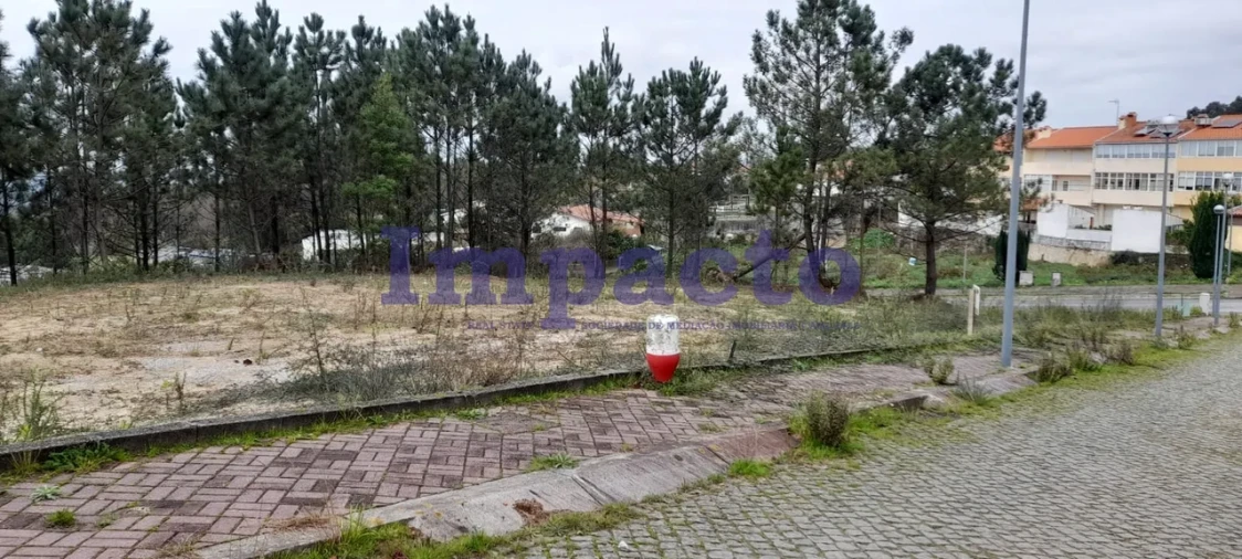Terreno para Venda em O. Azeméis, Riba-Ul, Ul, Macinhata Seixa, Madail Foto 20