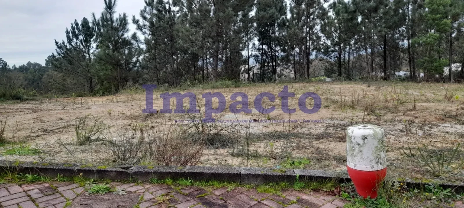 Terreno para Venda em O. Azeméis, Riba-Ul, Ul, Macinhata Seixa, Madail Foto 6