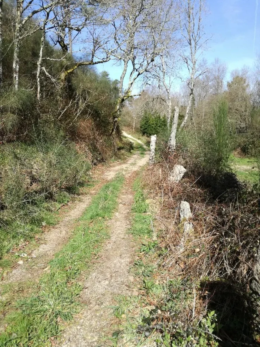 Terreno para Venda em Pias Foto 2