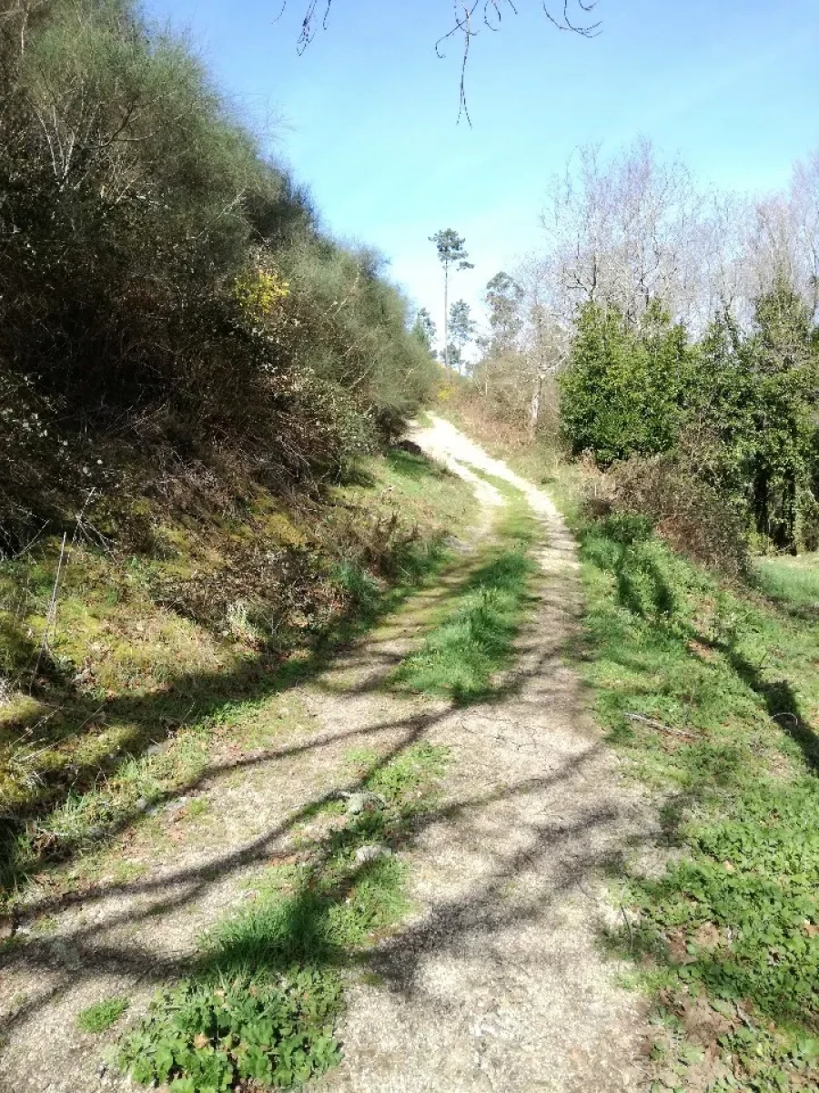 Terreno para Venda em Pias Foto 7