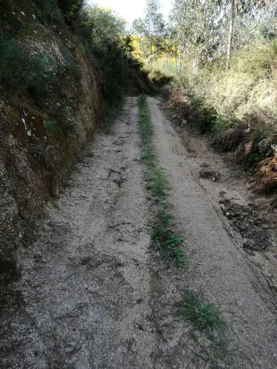 Terreno para Venda em Pias Foto 10