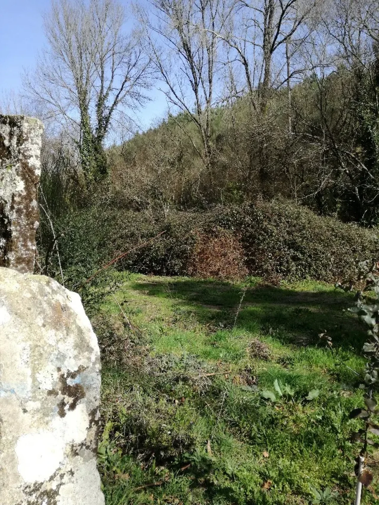 Terreno para Venda em Pias Foto 1