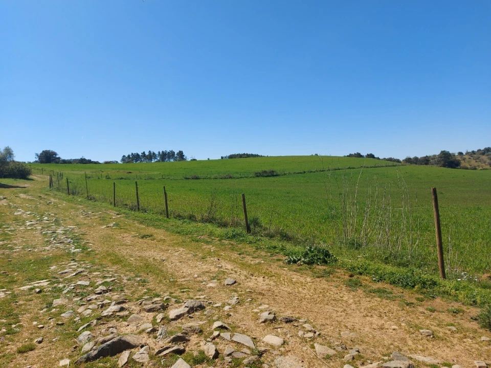 Terreno para Venda em Castro Vicente Foto 11