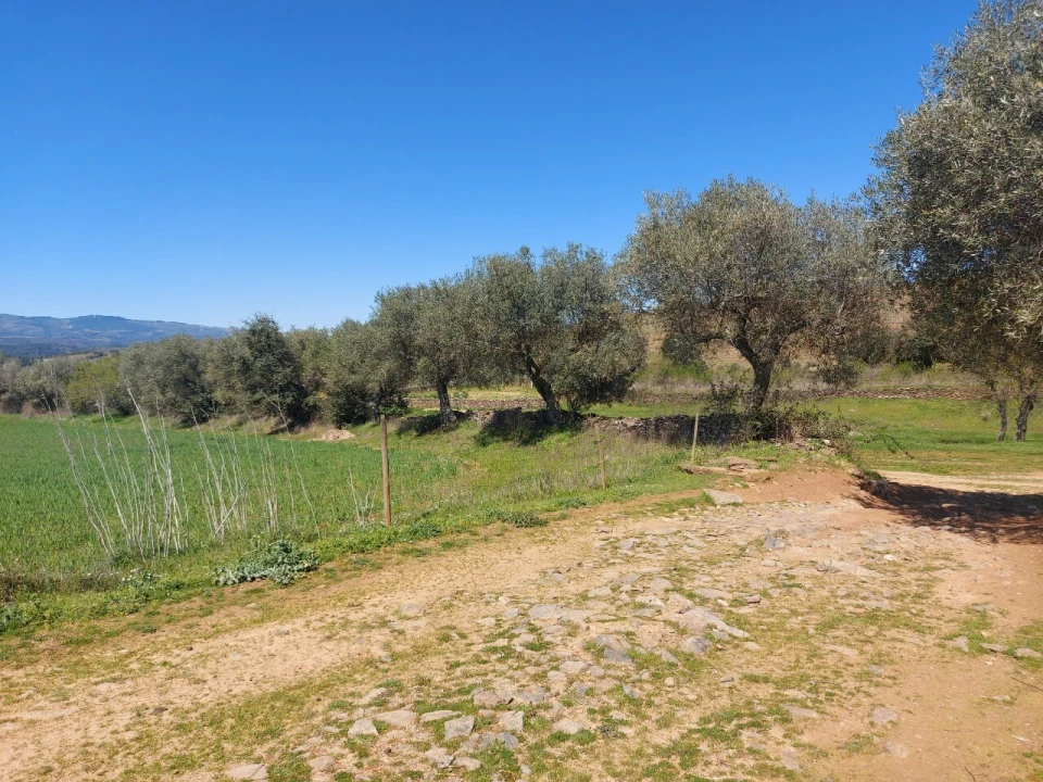 Terreno para Venda em Castro Vicente Foto 9