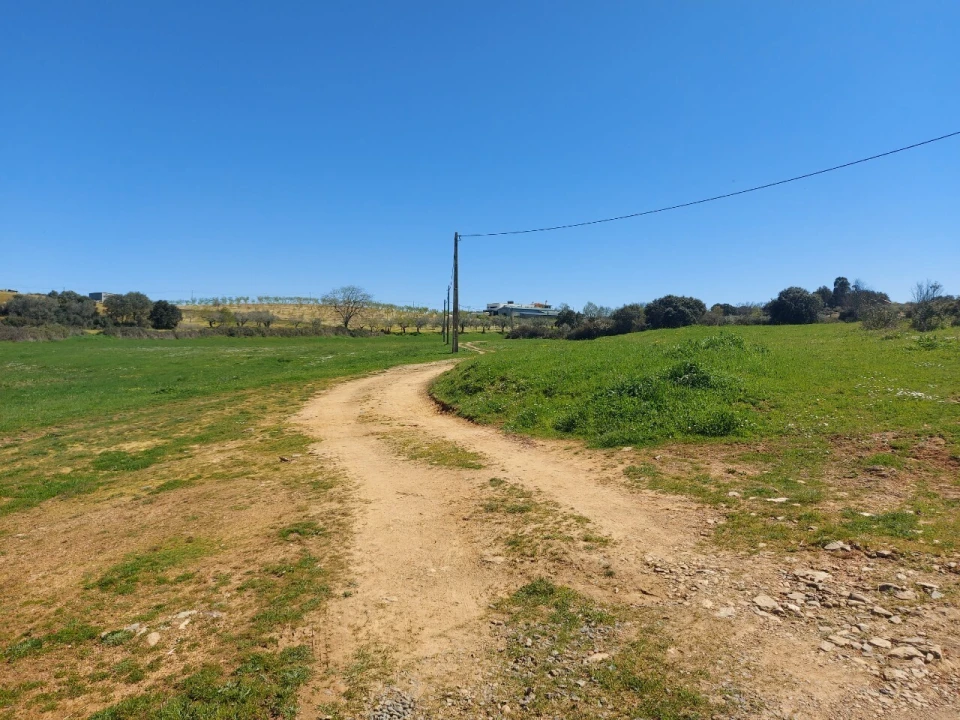 Terreno para Venda em Castro Vicente Foto 12