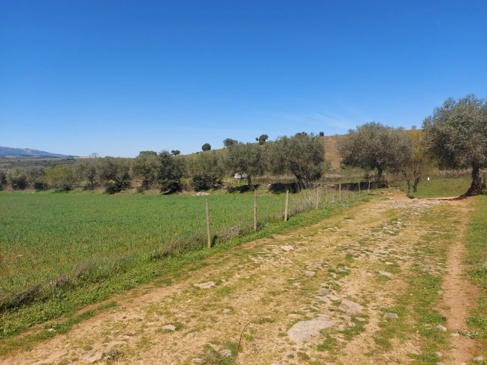 Terreno para Venda em Castro Vicente Foto 3