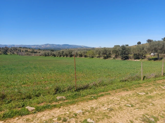 Terreno para Venda em Castro Vicente Foto 1