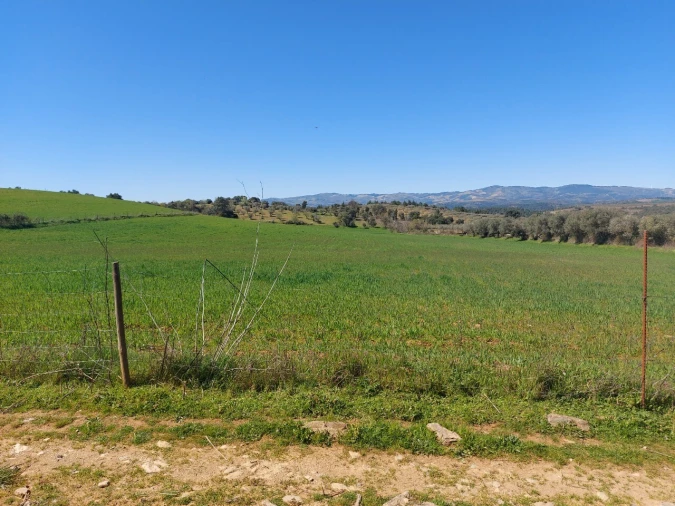 Terreno para Venda em Castro Vicente Foto 2