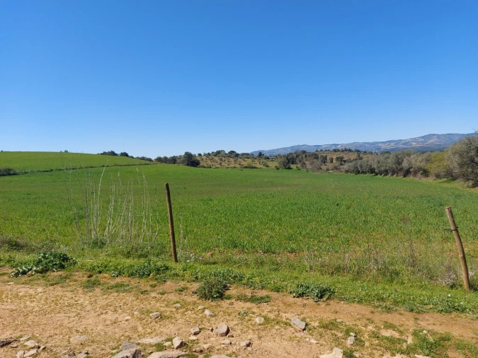 Terreno para Venda em Castro Vicente Foto 8