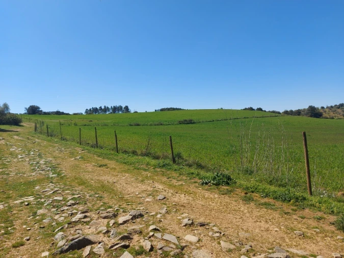 Terreno para Venda em Castro Vicente Foto 11