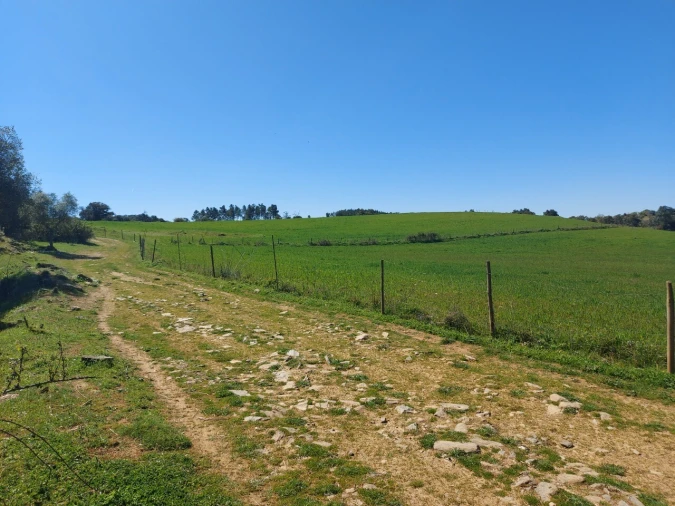Terreno para Venda em Castro Vicente Foto 13