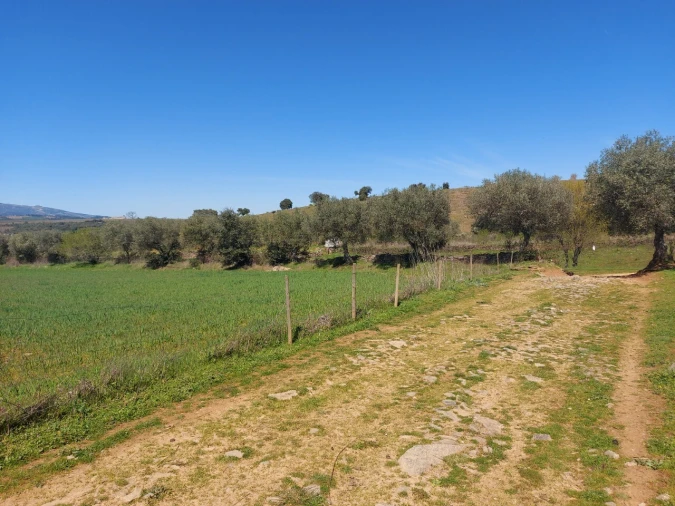 Terreno para Venda em Castro Vicente Foto 3