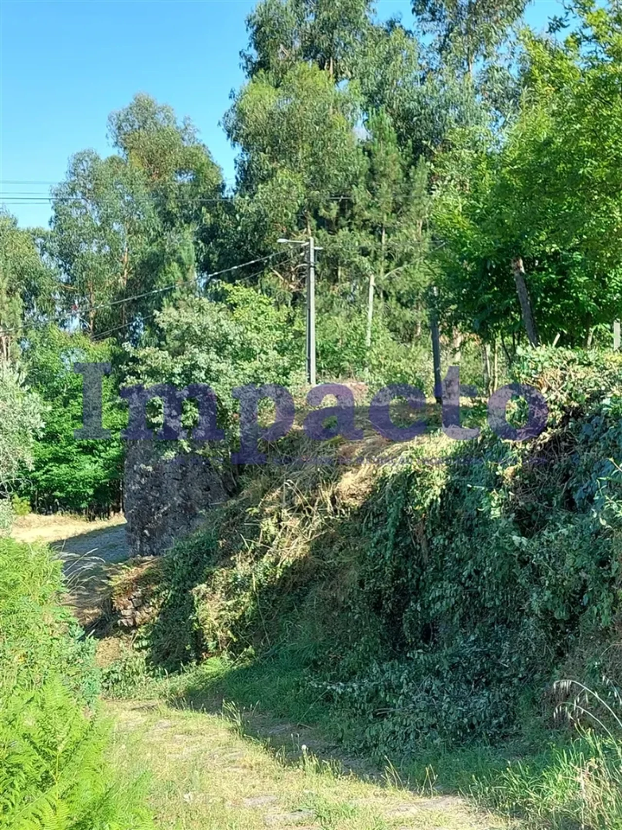 Moradia T1 para Venda em Junqueira Foto 6