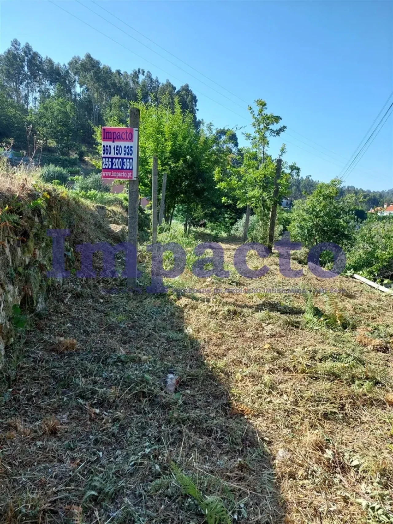 Moradia T1 para Venda em Junqueira Foto 7