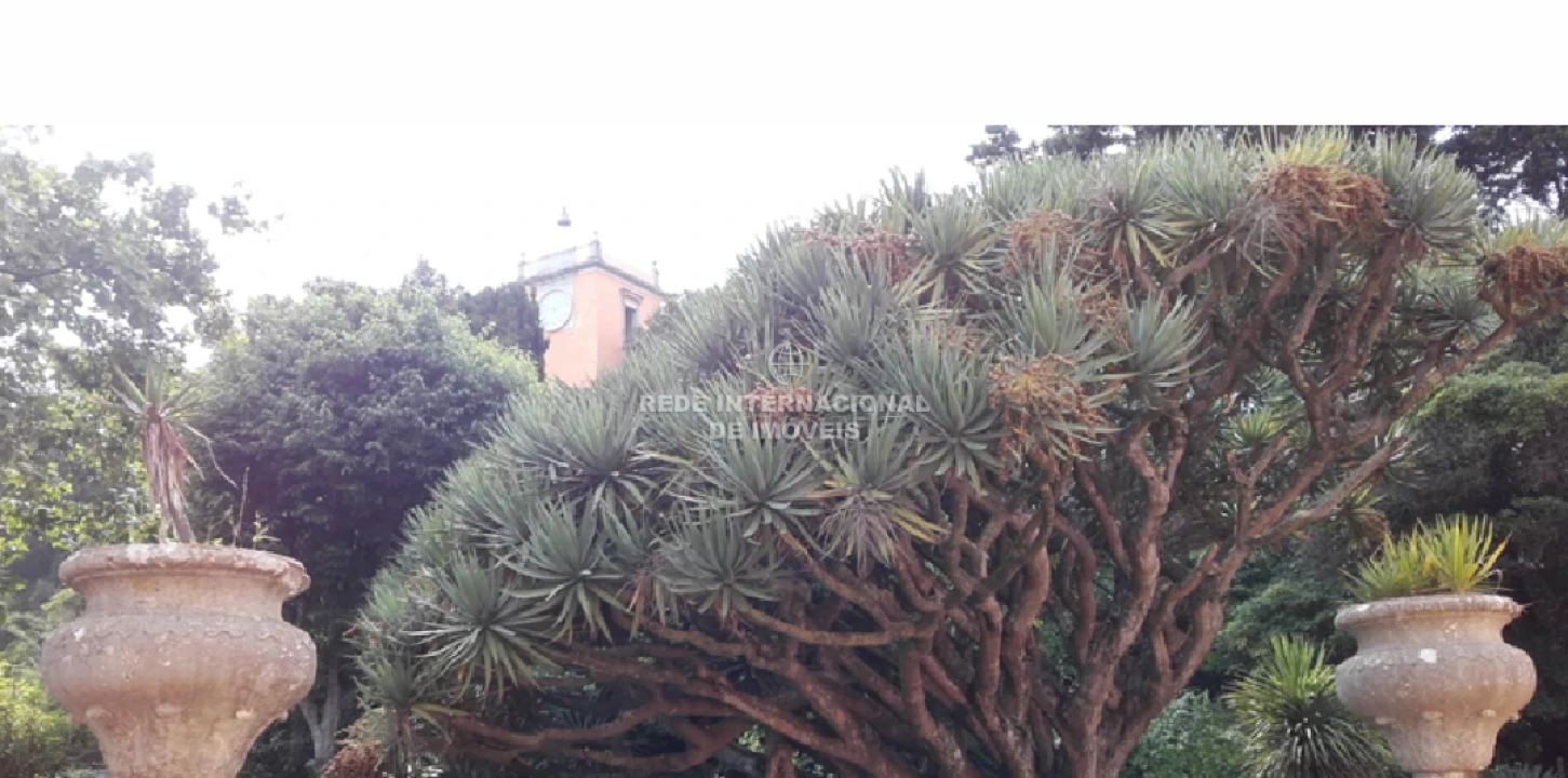 Moradia T15 para Venda em Oeiras e São Julião da Barra, Paço de Arcos e Caxias Foto 5