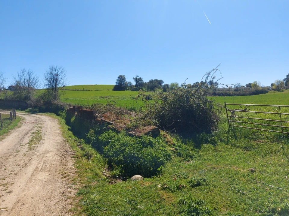 Terreno para Venda em Castro Vicente Foto 1