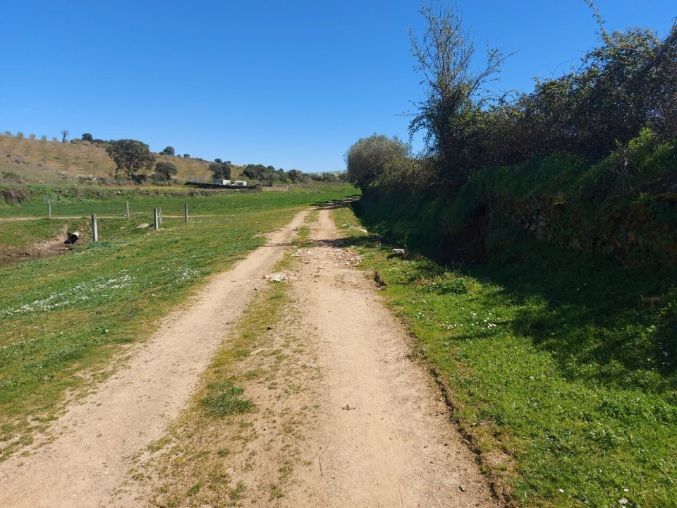 Terreno para Venda em Castro Vicente Foto 8