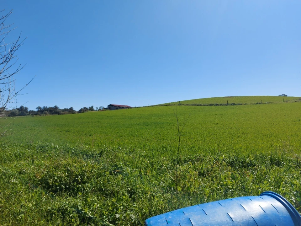 Terreno para Venda em Castro Vicente Foto 10
