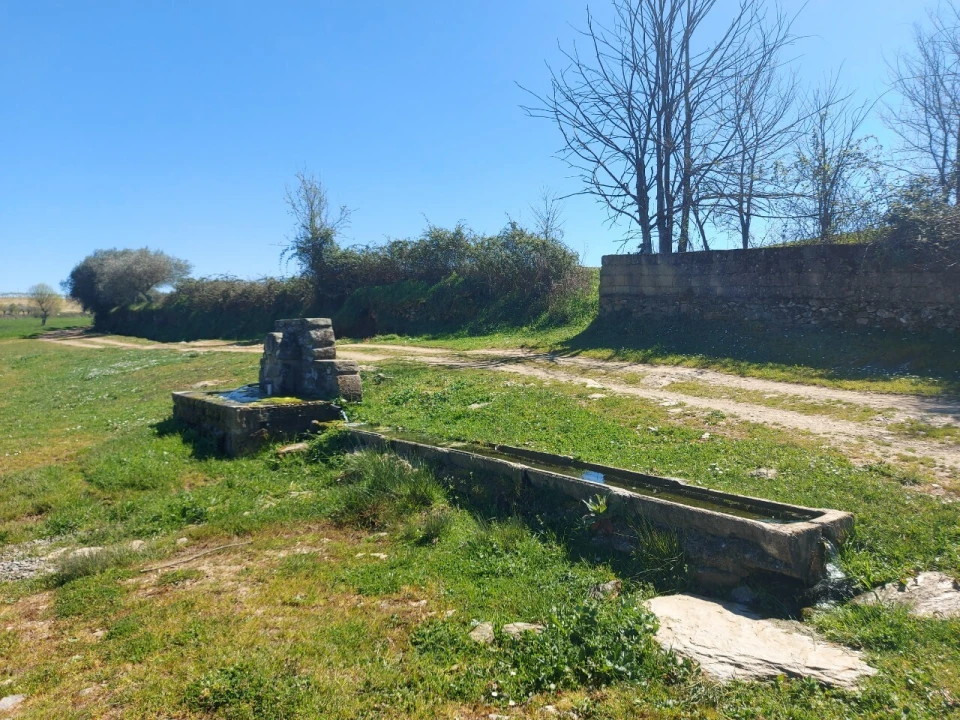 Terreno para Venda em Castro Vicente Foto 14